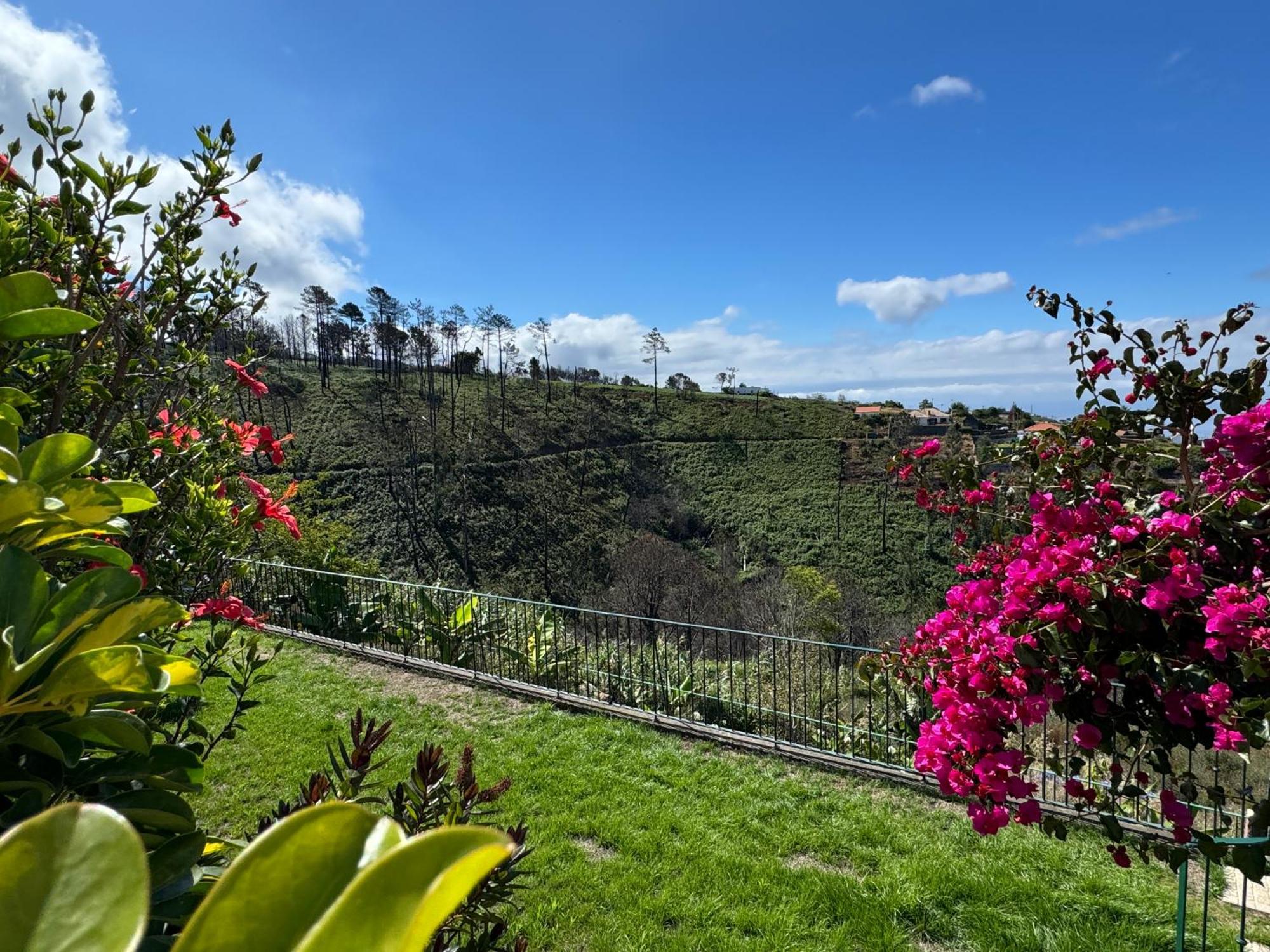 Panoramablick - 3-Bett Villa Mit Sonnenterrassen Fajã da Ovelha Exterior foto